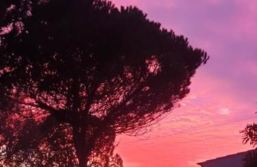 Sondela Self Catering - Foto 22