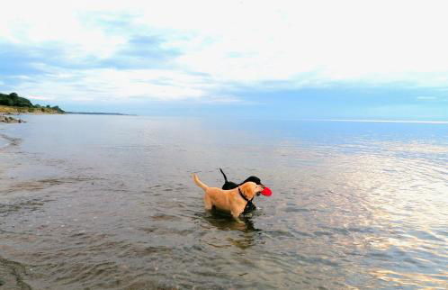 Hof am Meer "Seestern" - Foto 49