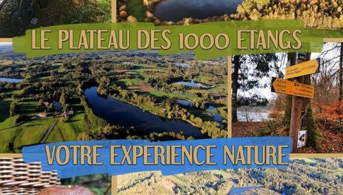 Le Noisetier - Foto 5