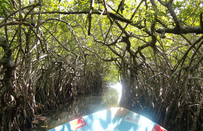 Safari sur le fleuve - Photo 1