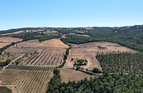 Agriturismo Rossello - Foto 13