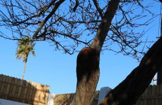 Naveros Bajo - Foto 25