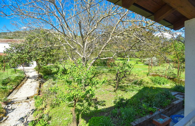 Apartments Branka - Foto 51