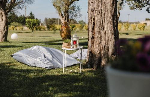 Gli Ulivi di Gino - Foto 33