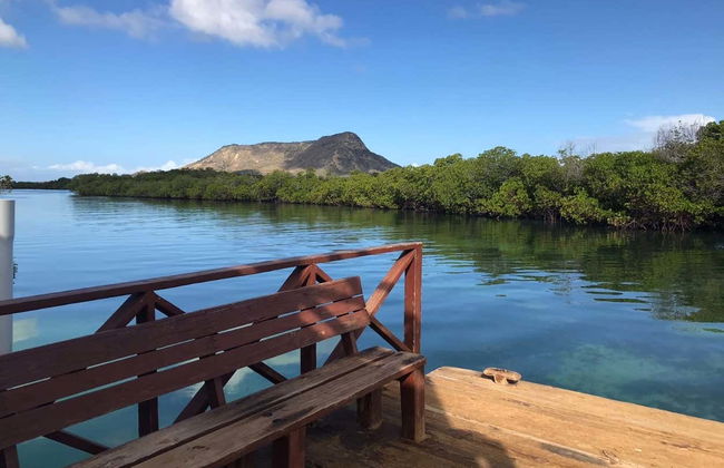 Monte Cristi Boat Trip - Photo 7