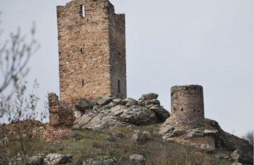 Anjú-Pardal - Foto 52