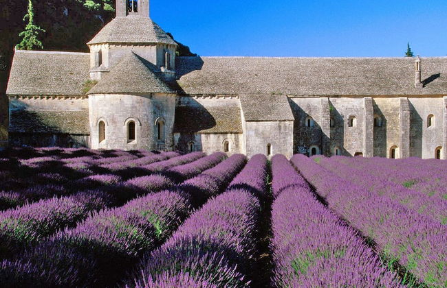 Luxury Villa in Provence With a Private Pool - Foto 39
