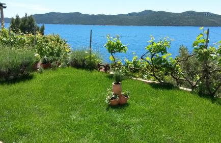 Sunset Apartments - Foto 66