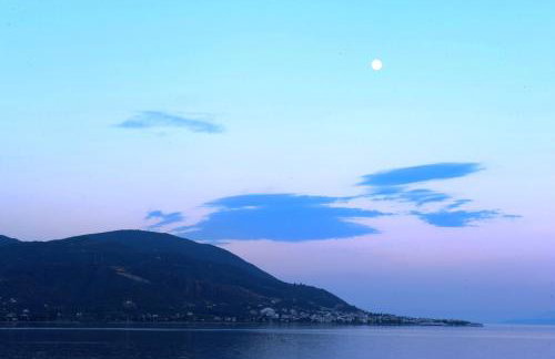 Effie's House - Foto 16