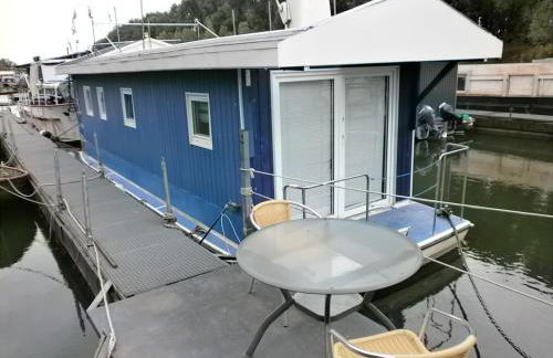 Sportboot Zander - Foto 2