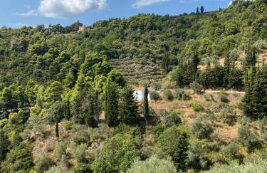 Laas Daskios, Stone Country House, Skopelos Anania - Foto 4