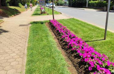 Apartment Nilema Rovinj - Photo 47