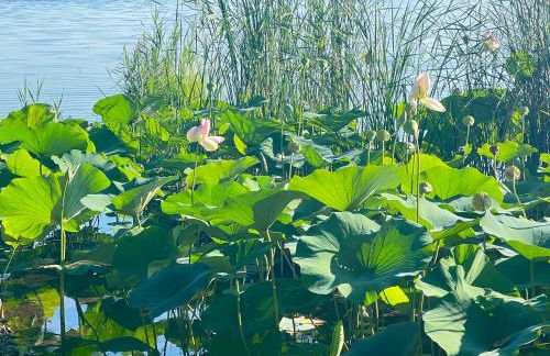 Casa del Sole, Lago di Monate - Foto 24