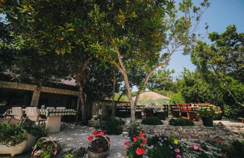 Apartments with parking space Dol, Hvar - 24122 - Foto 7