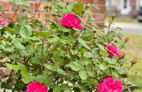 Serenity Oasis Pool Haven 8 min to Sea Isle city - Photo 17