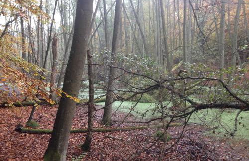 Große Loft im Naturschutzgebiet mit eigenem Garten - Photo 56