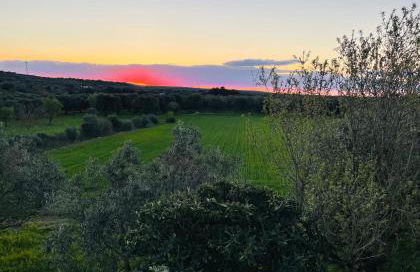 La Nicchia - Foto 13