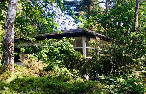 Waldhaus am Meer - Foto 1