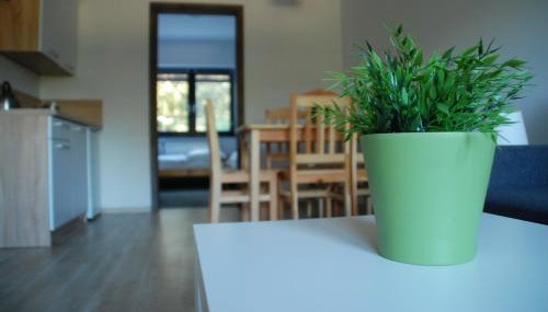 Willa Konwalia Wieleń - Foto 5