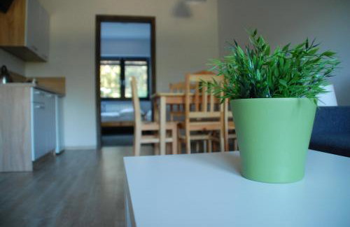 Willa Konwalia Wieleń - Foto 5