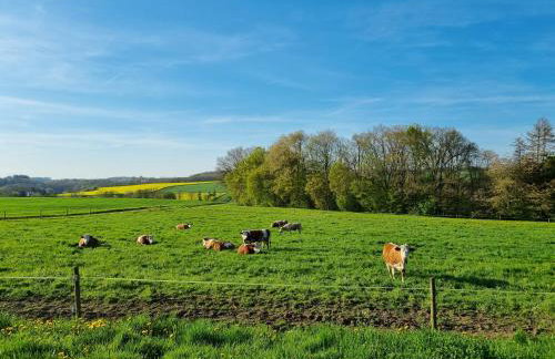 Eiselehof Ferienwohnungen in Alleinlage - Foto 54