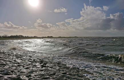 Habbo's Kojen - Photo 10