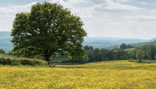 Rhiastyn Barn - Foto 5