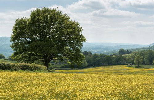 Rhiastyn Barn - Foto 5