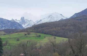 Ca Na Martina - Foto 35