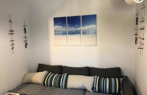 BIO Garden Stonehouse - Foto 26