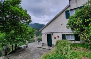 Il Giardino di Piero - LT-0029 - Foto 71