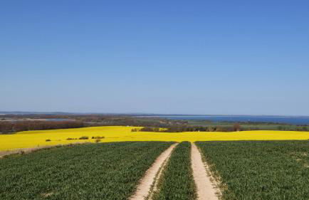 Apartments Fürstenvilla Putbus - Foto 23