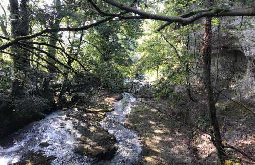 The Lodge - Photo 33