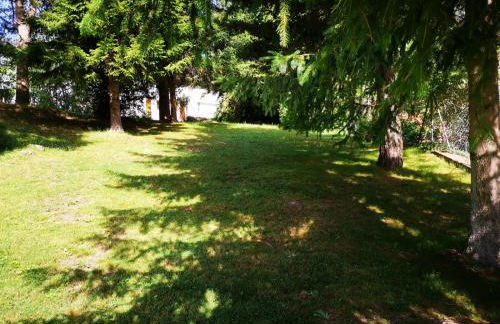 Arriel 28:24 - Foto 21