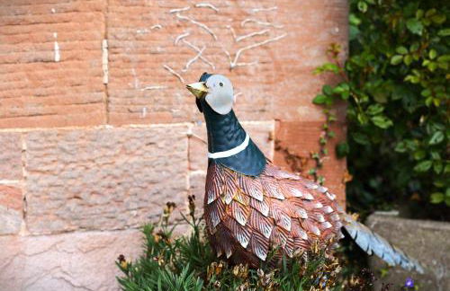 Clint Lodge - Foto 70