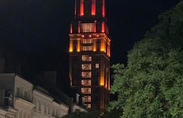 Terrasse vue cathédrale et beffroi hyper centre - Foto 12