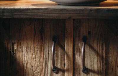 Mech i brzoza - Foto 15