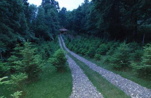 Domki Na Wiosce - Foto 25