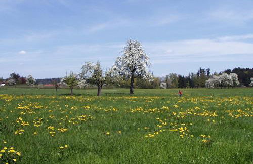 Baumanns Ferienhof Am See - Foto 55