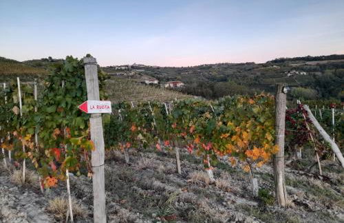 Madama Langa Country House con piscina nelle vigne - Foto 47