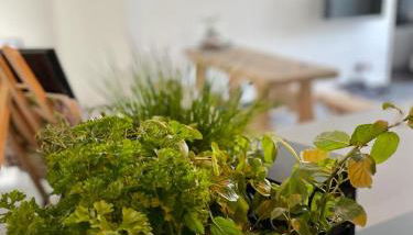 Mya Lenas Suite - Foto 3