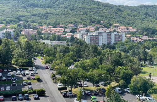 Les Meublés les Dômes du Parc - Photo 17