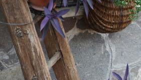 Favelle House - Foto 2, Garden