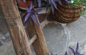 Favelle House - Foto 2