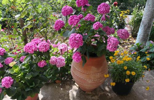 ΚΑΛΟΣΚΟΠΗ Luxury House - Foto 28