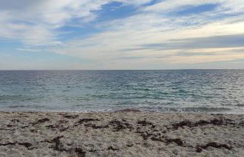 La Perle de l'Océan, à deux pas de la mer sans route à traverser, parking privé, piscine - Foto 38
