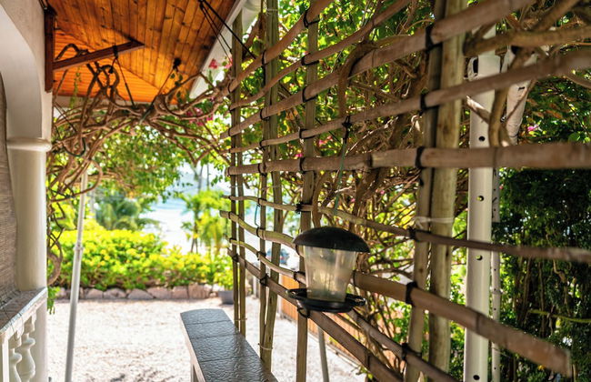 Beau Bamboo - Foto 42