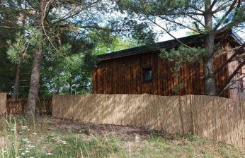 Zielenina Leśny Domek - Foto 20