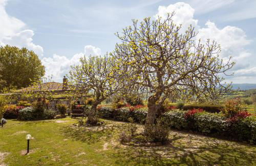 Bio Agriturismo I Lapi - Foto 22