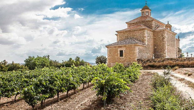 Vinhedos da Dominio Lubiano